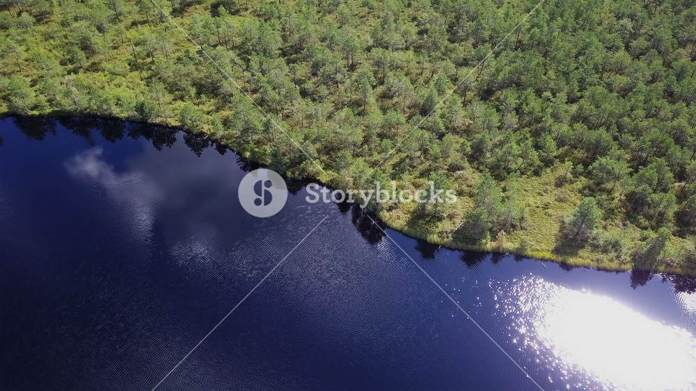 Aerial view of hidden lake shore in swampy area with young growing forest, parallax effect reflection of heaven and sun flares in deep blue water surface, drone flies over untouched nature landscape