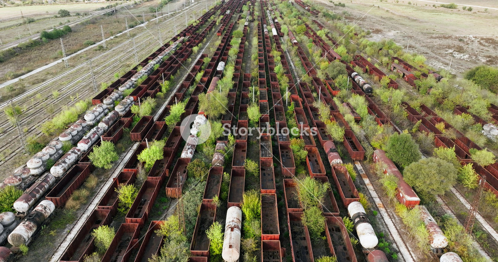Rows of rusted freight wagons sit motionless, surrounded by lush plants. Once part of an active railway network, these train cars are now relics of history, overtaken by nature resilience.