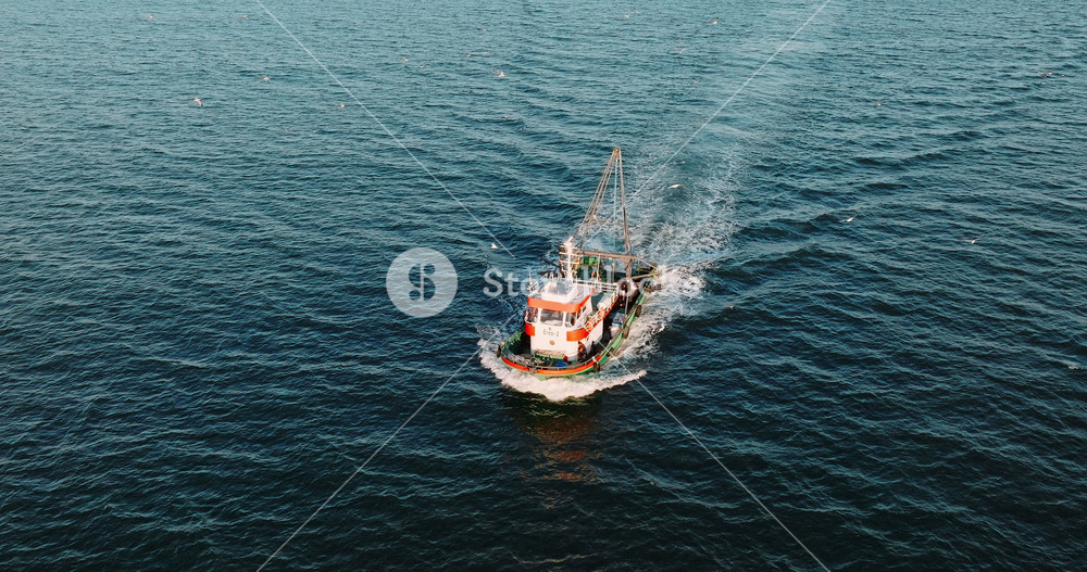 Varna, Bulgaria - November 15 2024: Fishing industry in motion boat, birds, sea creating vibrant maritime scene. Drone captures hardworking fishermen, movement ocean.