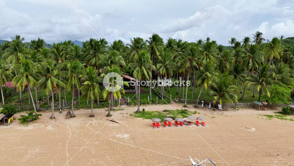 Aerial drone view of an outrigger bangka boat resting on a sandy beach beside beach chairs and umbrellas, backed by a dense coconut palm grove, Catpo Beach, Liminangcong, Taytay, Palawan, Philippines.