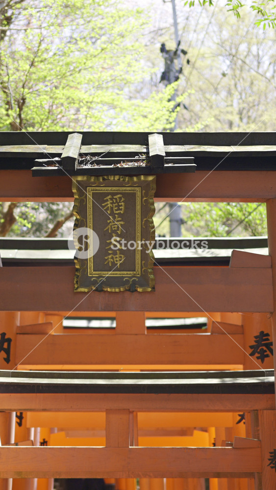 Kyoto, Japan - April 9, 2025: A vibrant torii gate stands proudly surrounded by blooming cherry blossoms. Text Translation: ''Dragon Deity''. Fushimi Inari, Kyoto, Japan