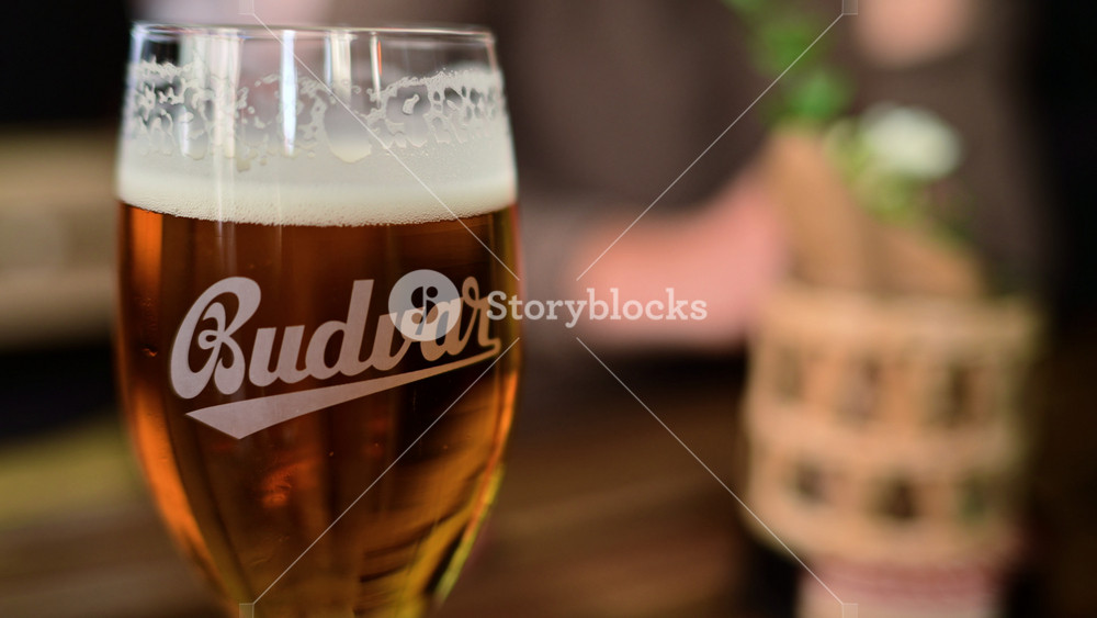 Prague, Czech Republic - July 19, 2026: A stemmed glass of golden Budvar lager on a wooden pub table, lifted by a hand for a sip