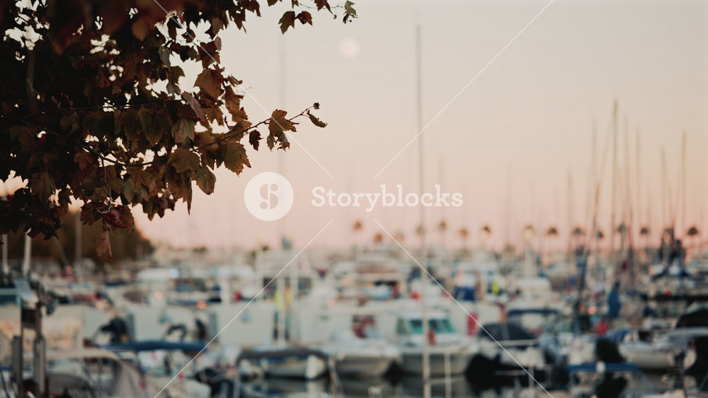 Branch of autumn leaves in the foreground frames a marina full of boats and masts at sunset, with the moon rising in a pastel sky