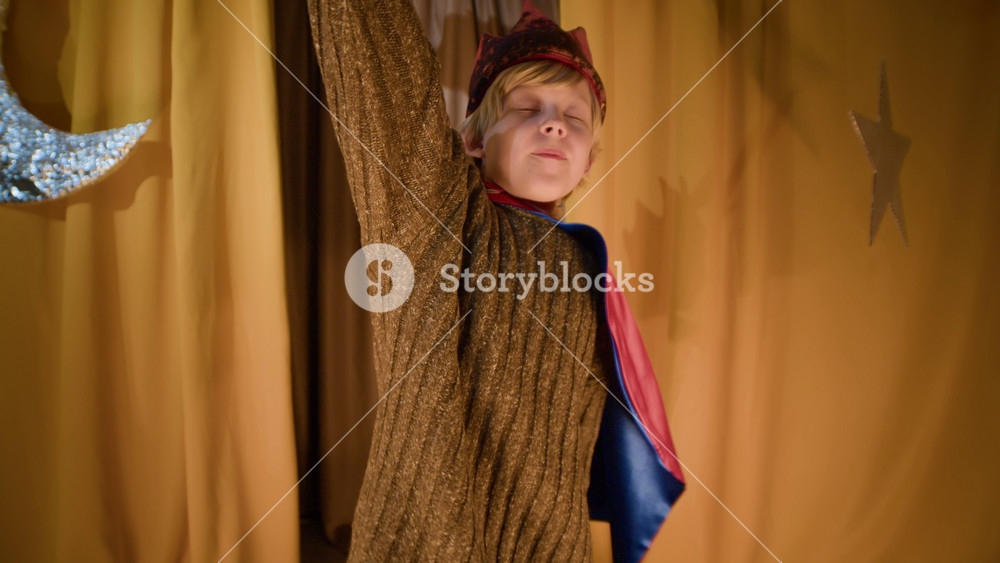 Tilt up of confident Caucasian boy wearing costume and holding wooden sword playing role of king in theatre