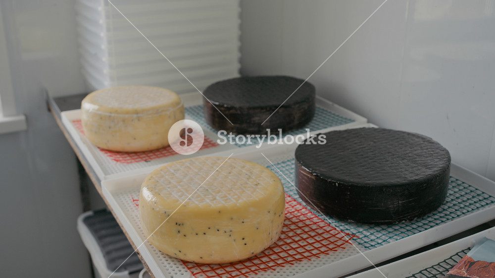 No people shot of artisan cheese wheels coated with black and transparent latex ripening on draining mat in cheese shop