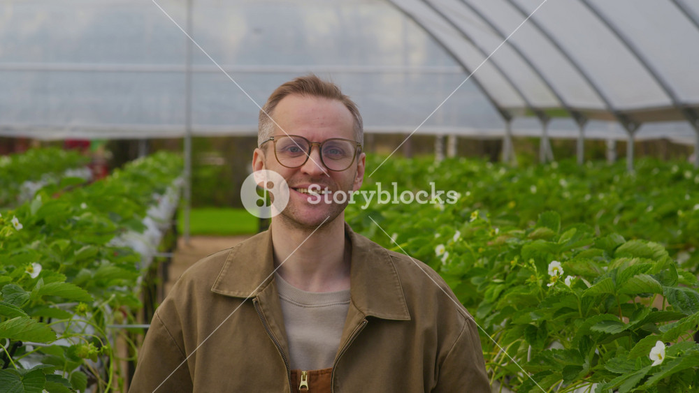 Chest up portrait of smiling Caucasian male farmer standing in aisle between rows of growing strawberries in greenhouse and looking at camera