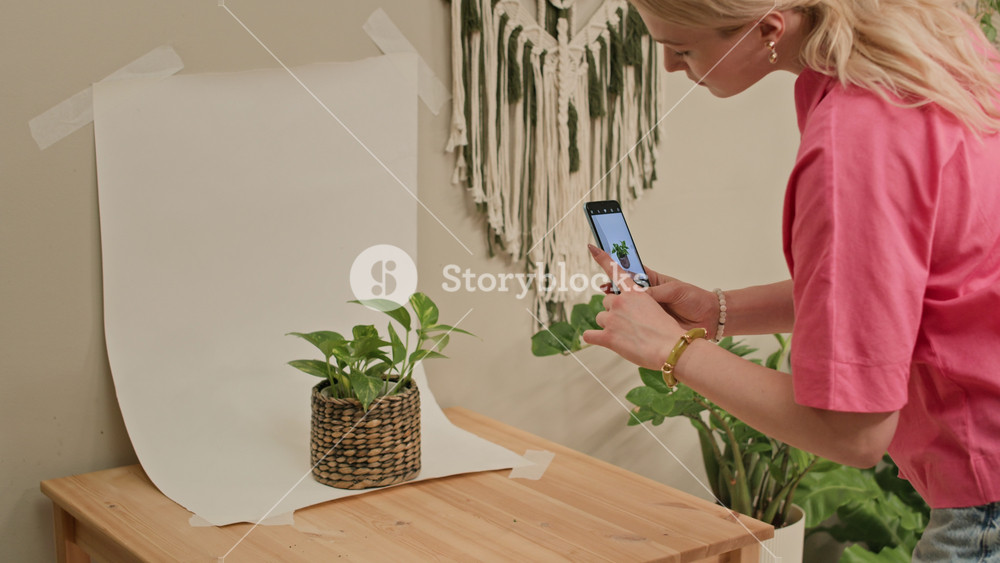 Slowmo shot of young Caucasian woman photographing green houseplant in wicker pot on white paper backdrop with smartphone camera for indoor gardening blog