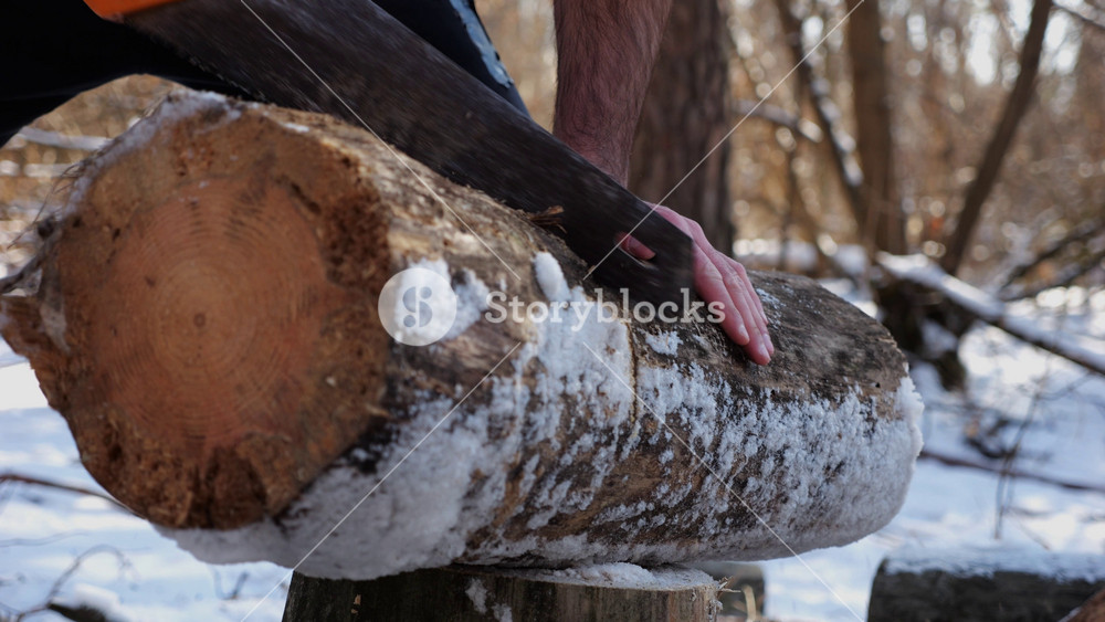 Male hand sawing a log in sunny winter forest. Strong guy working with a saw in snowy woodland. Concept of strength, masculine, energy, and