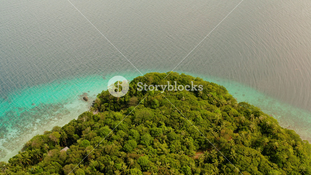 Coastline with forest and palm trees, coral reef with turquoise water, aerial view. Sea water surface in lagoon and coral reef. Seascape of
