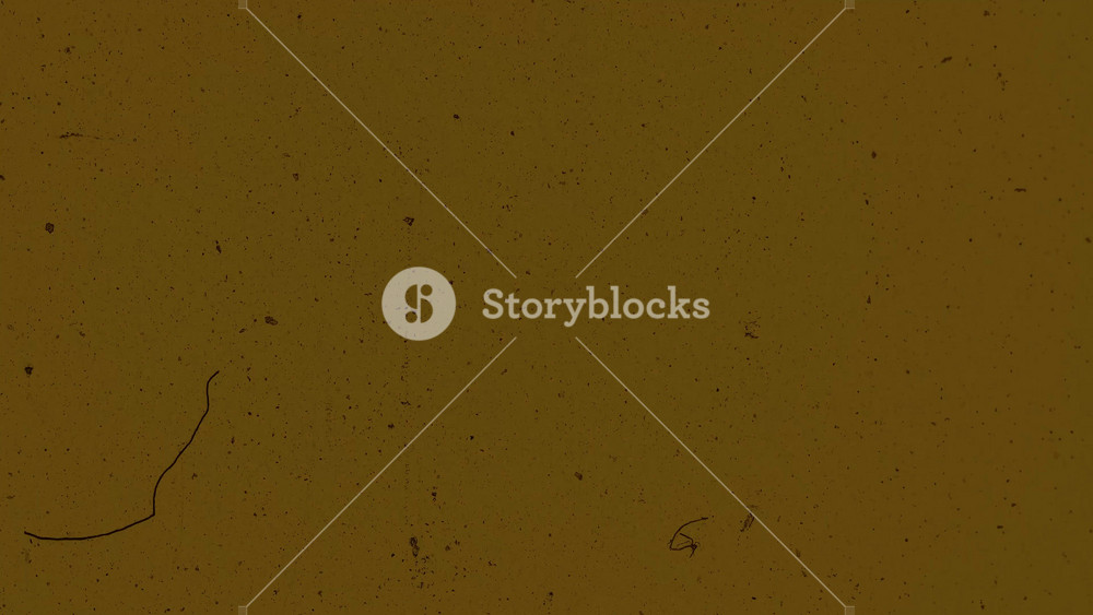 Dreamy grain texture from retro film reels featuring soft noise and faded overlay effects to enhance cinematic videos title designs or emotional storytelling pieces.