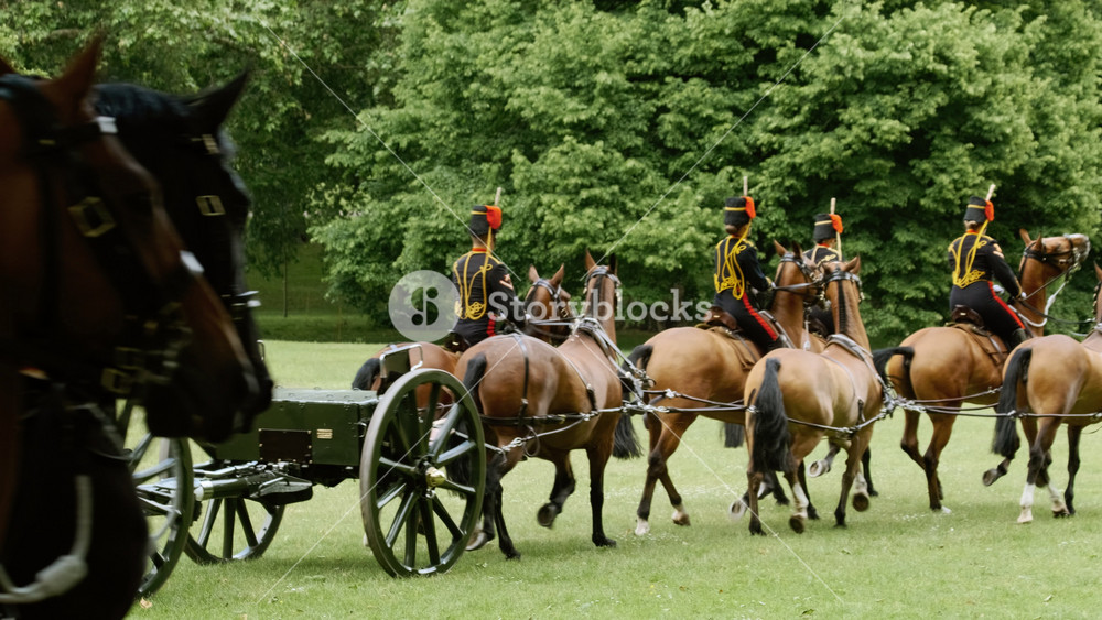 LONDON, United Kingdom, circa 2019 - Close-up view of the Kings Troop Royal Artillery on horseback after perming a Gun Salute to mark the official birthday of the British monarch