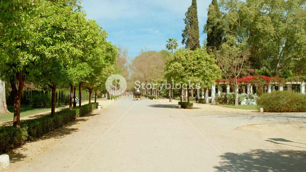 SEVILLE, Spain, circa 2023 - The Parque de Maria Luisa, Seville, Andalusia, Spain, expansive lush park with gardens, fountains, monuments, and the impressive Plaza de Espana