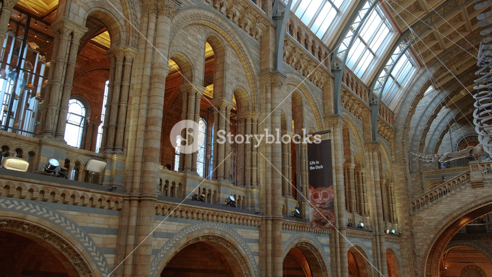 LONDON, United Kingdom, circa 2019 - Wide view of the main hall of the Natural History Museum in London, England, UK featuring a blue whale skeleton