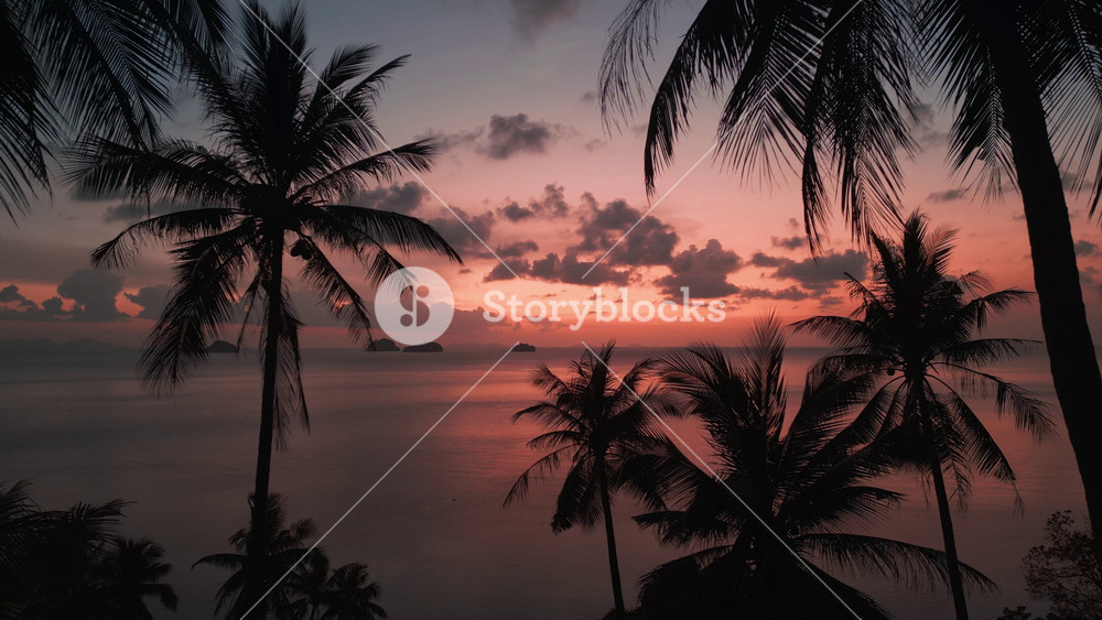 Drone shot of Incredible red sunset on sea with silhouettes of palm trees on the beach. Cinematic aerial shot of paradise tropical beach at