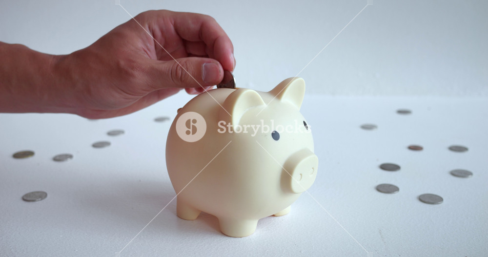 Piggy bank receives another coin its belly growing with potential wealth Piggy bank cute guardian of savings value of cash preservation
