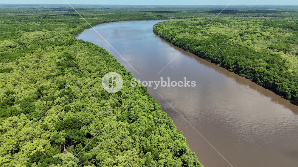Parnaiba Delta In Araioses Maranhao Brazil. River Flowing Through Lush Green Forest Landscape. Wildlife Travel. Rainforest Landscape. Araioses Maranhao.
