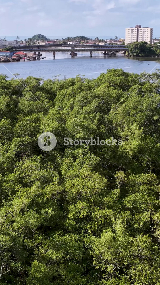 Itanhaem Skyline In Itanhaem Sao Paulo Brazil. Birds Eye View Of Stunning Dark River And Forest Trees. Travel Environmental Wilderness Jungle. Travel Exterior Rainy Season. Itanhaem Sao Paulo.