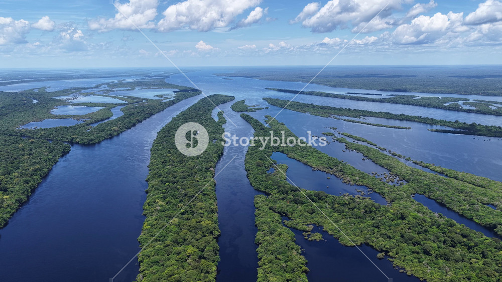 Anavilhanas Skyline In Novo Airao Amazonas Brazil. Capturing The Effects Of Flooding In The Amazon Rainforest. Nature Wilderness. Eco Friendly Wildlife. Novo Airao Amazonas.