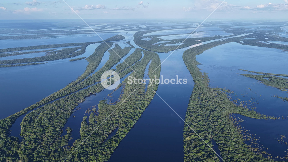 Anavilhanas Archipelago In Novo Airao Amazonas Brazil. Birds Eye View Of Stunning Dark River And Forest Trees. Nature Wilderness. Eco Friendly Wildlife. Novo Airao Amazonas.