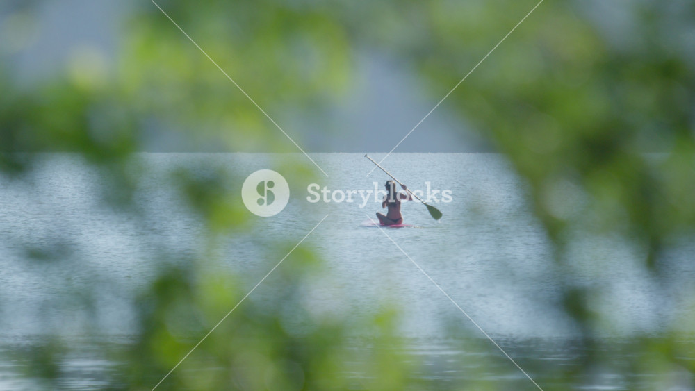 Spying camera. Woman paddles sup board in the lake as seen like from a spying camera through the leaves of the trees