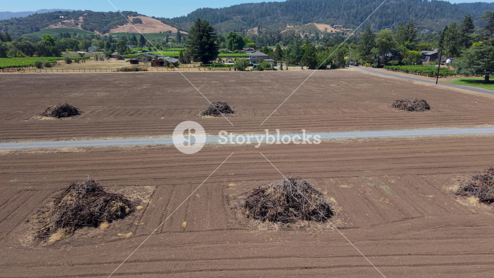 Aerial view of vines removed and burned in Sonoma and Napa as vinteners struggle to sell wine in a shrinking market