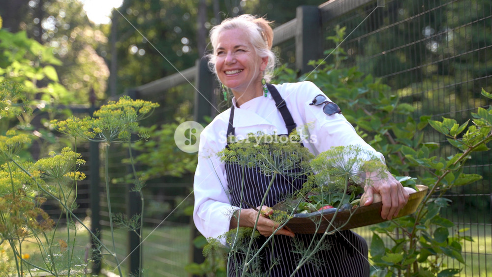 Happy young woman chef farmer smelling and organic fennel looking up and saying hello sunlight agriculture farm field harvest garden nutrition organic fresh outdoor