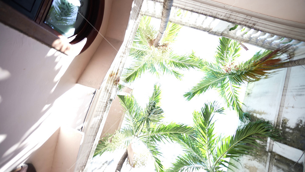 Camera shows pretty blonde mature woman working on laptop tablet computer in cafe then tilts up and spins to reveal the sky with palm trees. Concept of working on vacation.