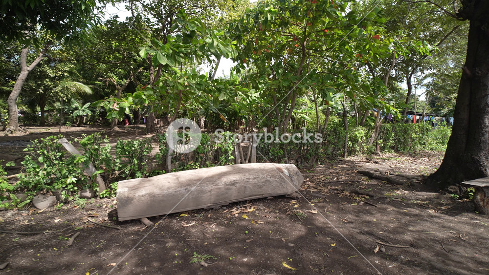 A serene view of a panga canoe on the beach beside Lake Nicaragua, surrounded by lush trees and nature in Central America