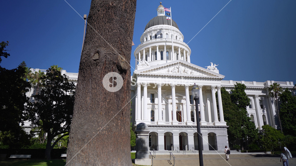Visit the California State Capitol in Sacramento and see its architecture and grounds on a sunny day in the heart of the city