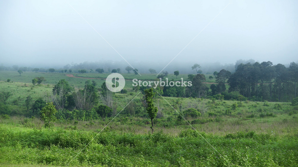 Beautiful scene of mist flowing through the mountainous landscape in Northern Thailand. Beautiful view of mountains and clouds with fog.