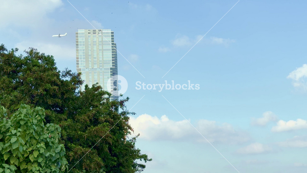 A dynamic view of a jet plane flying over a contemporary skyscraper with lush green foliage in the foreground, set against a clear blue Miami sky, embodying urban vibrancy and travel.