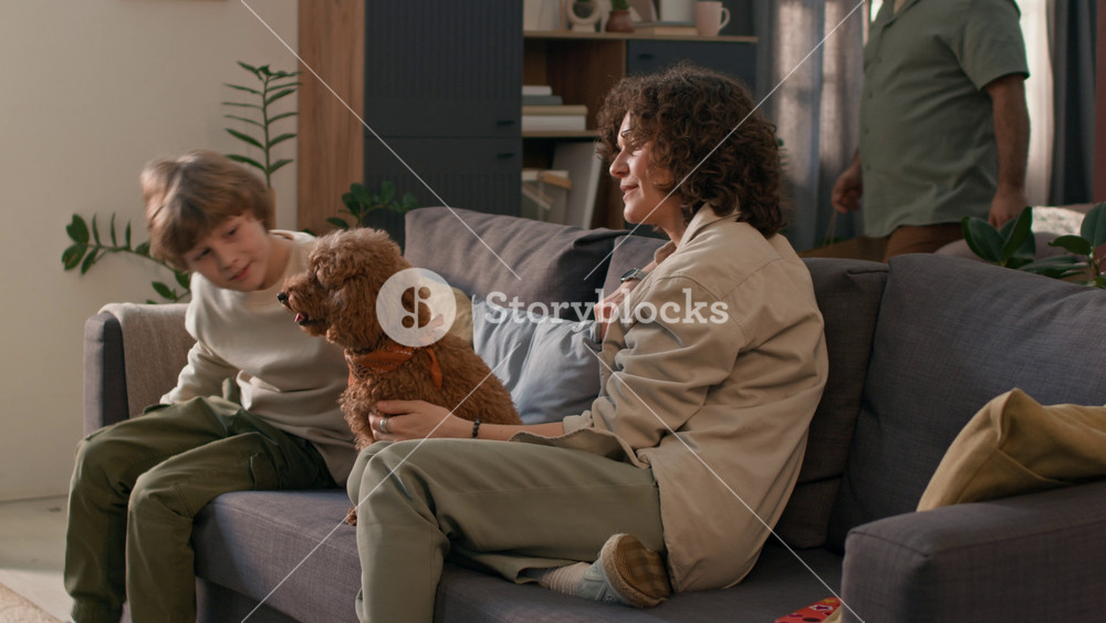 Gen alpha boy, young woman and mini poodle sitting on couch together, man bringing two paper bags with pet accessories and joining them, he taking dog bed, bowl, dry food and toy out
