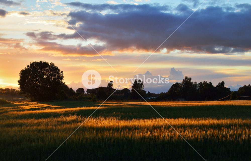 A Field In The Countryside Royalty-Free Stock Photo SBI-300735725 ...