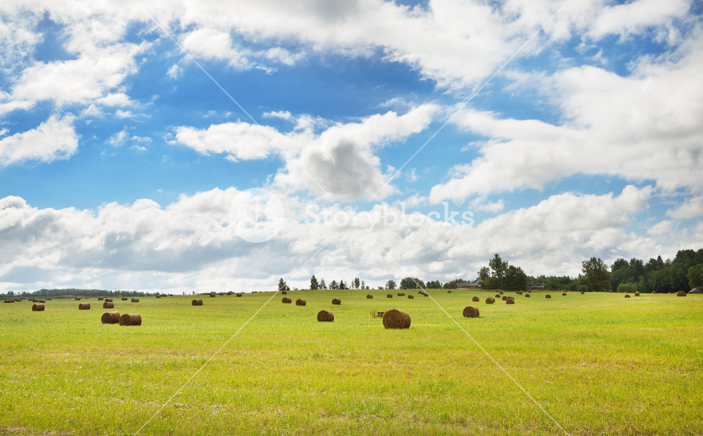 Field In The Countryside Area Royalty-Free Stock Photo SBI-300735941 ...
