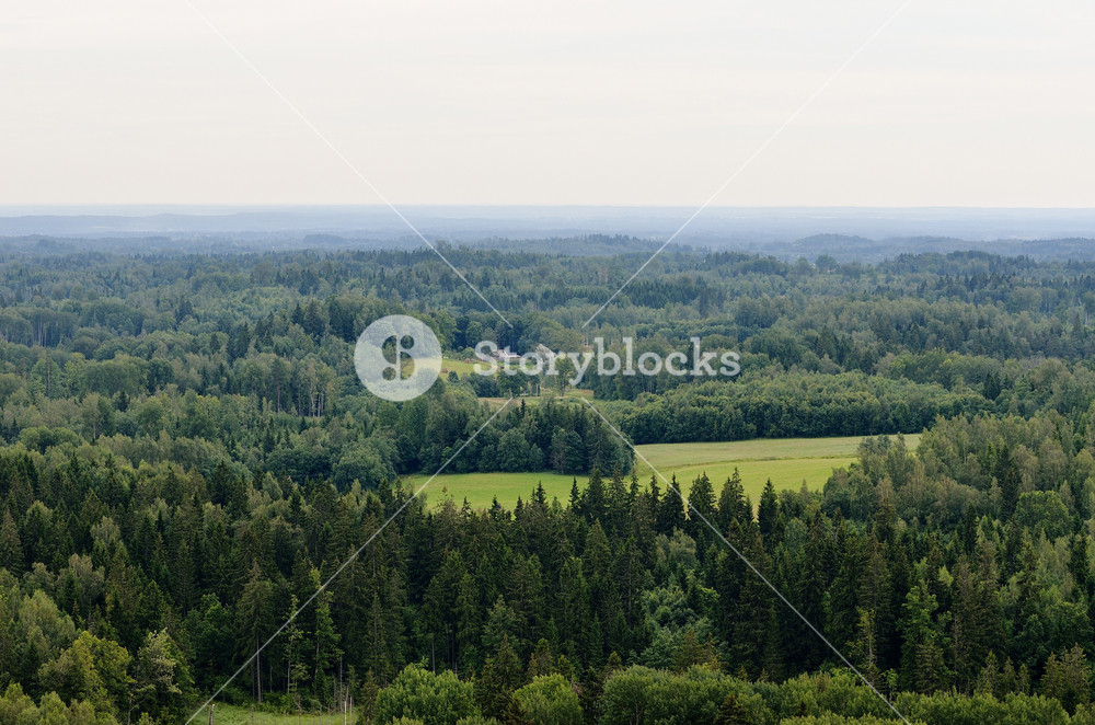 Overlook With Trees Royalty-Free Stock Photo SBI-300739900 - Storyblocks