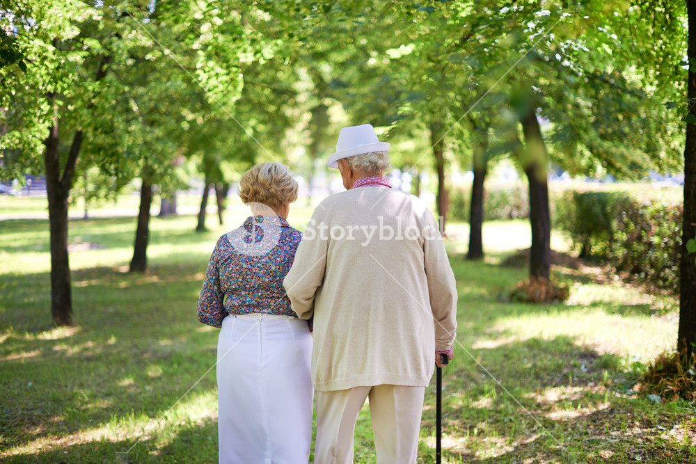 Back View Of Serene Senior Couple Taking A Walk In The Park In Summer ...