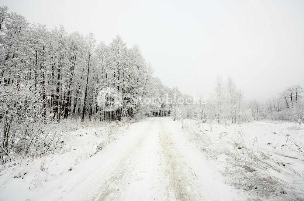 Winter Scene: Road And Forest With Frost On Trees Royalty-Free Stock ...