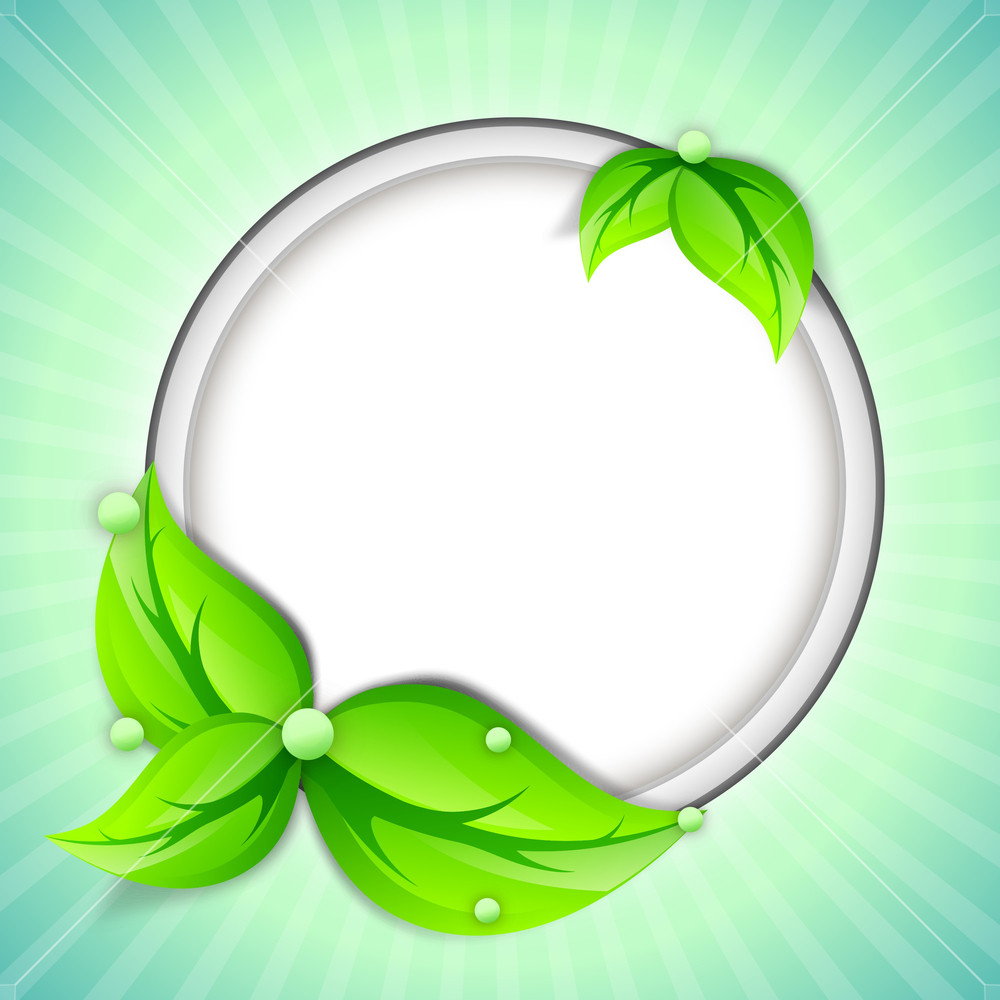 Abstract Nature Concept With Green Leaves And Space For Your Text On ...
