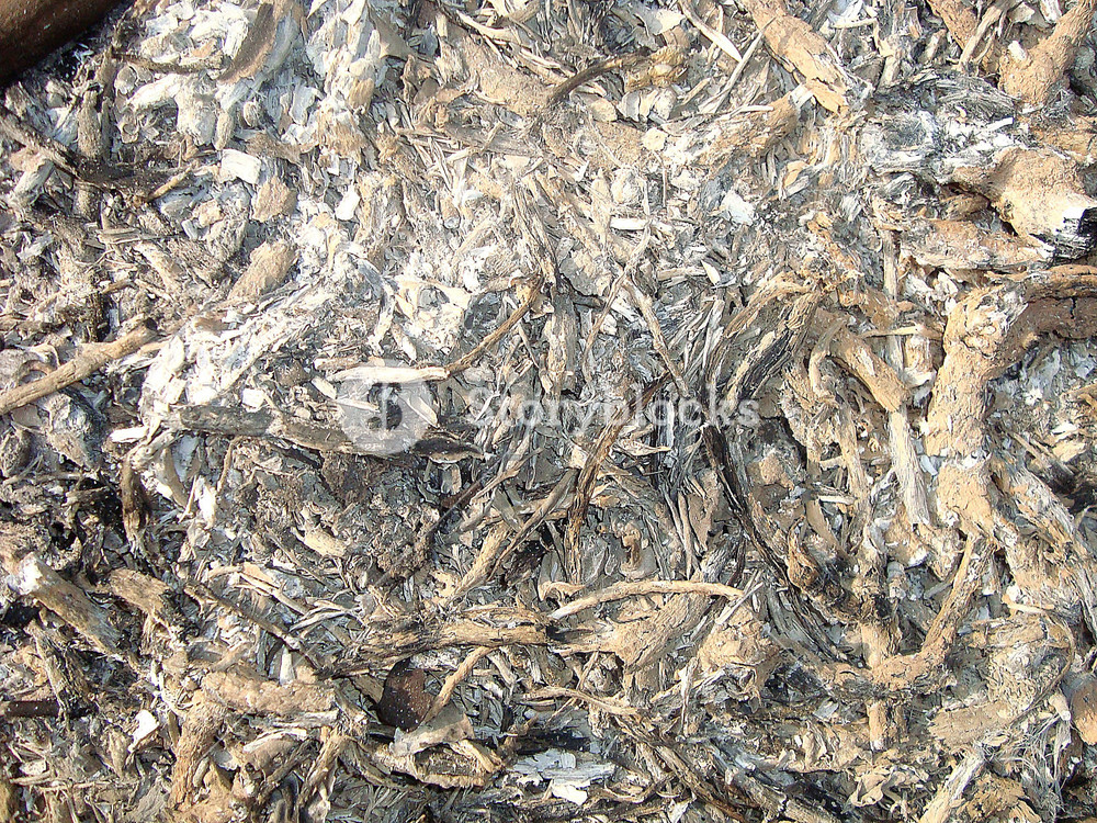 Ash_texture Royalty-Free Stock Illustration SBI-300250496 - Storyblocks