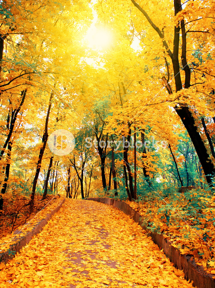 Autumn road in the park strewn with leaves Royalty-Free Stock Photo SBI ...