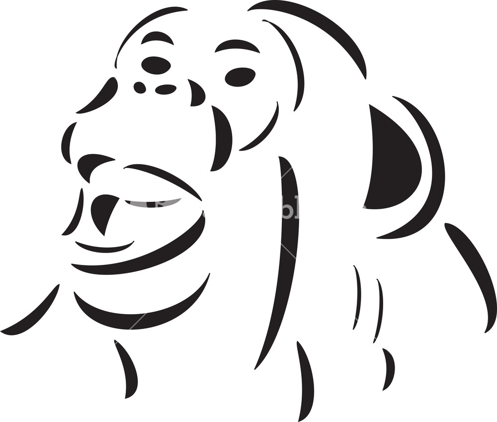 Face Of An Ape. Royalty-Free Stock Vector SBI-300691490 - Storyblocks