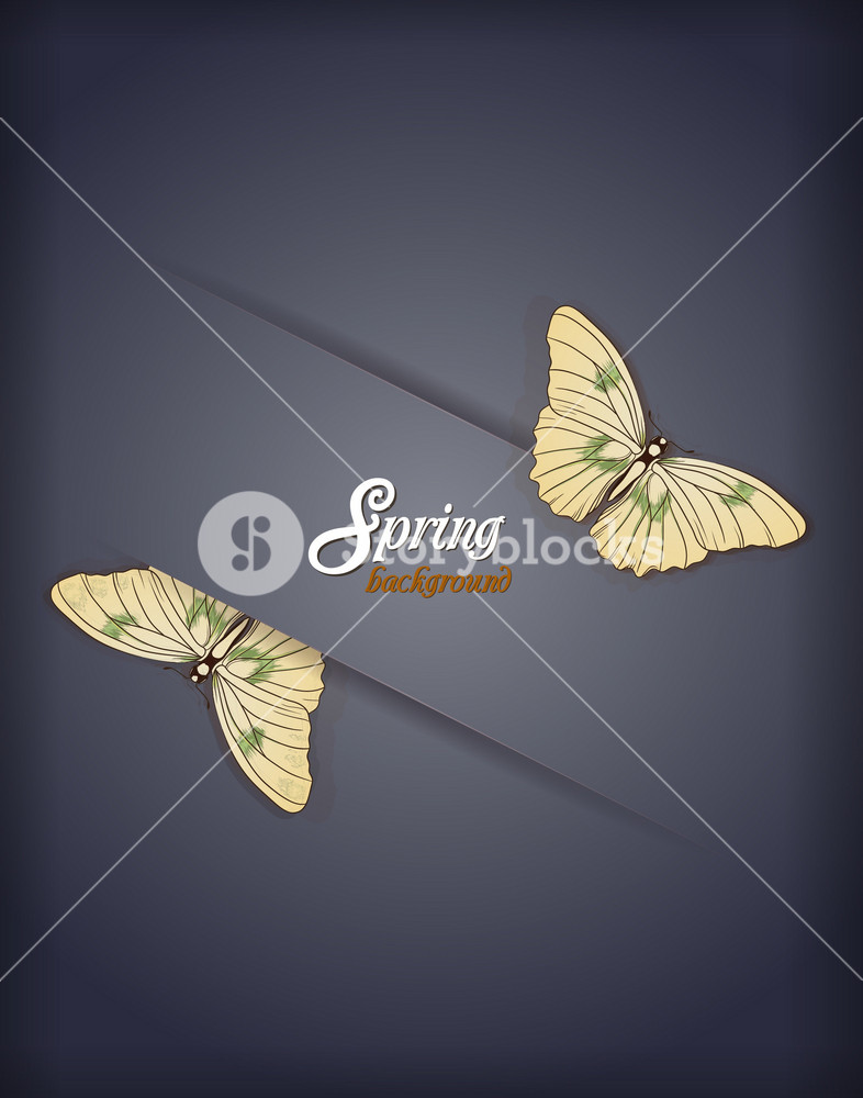 Floral Background Vector Illustration With Butterflies Royalty-Free ...