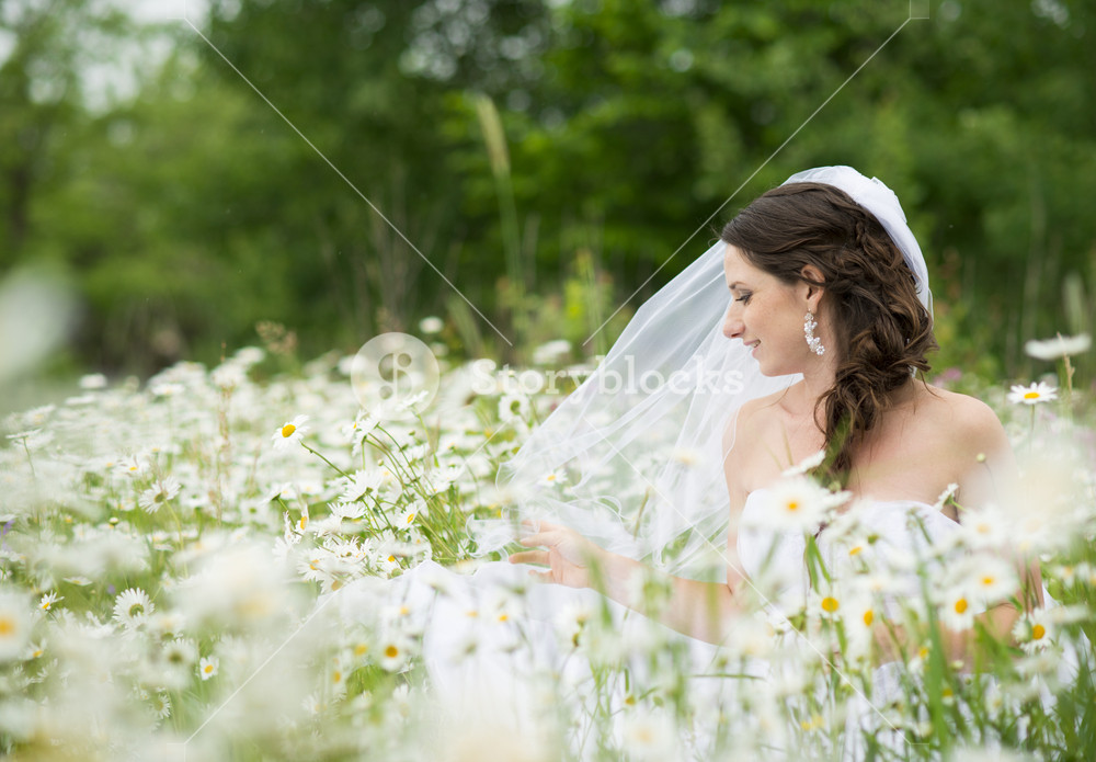 Bride in white wedding dress at the meadow Royalty-Free Stock Photo SBI ...