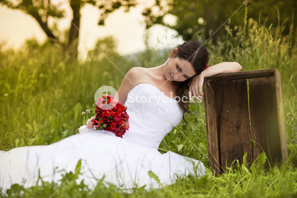 Bride in white wedding dress at the meadow Royalty-Free Stock Photo SBI ...