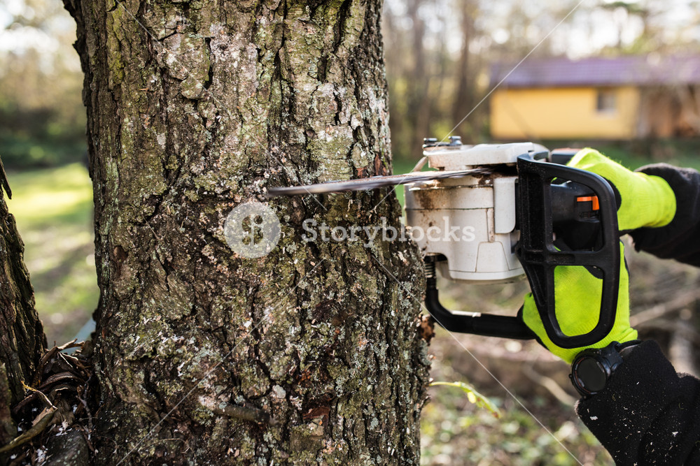 Close up. Hands of unrecognizable lumberjack with chainsaw cutting a ...