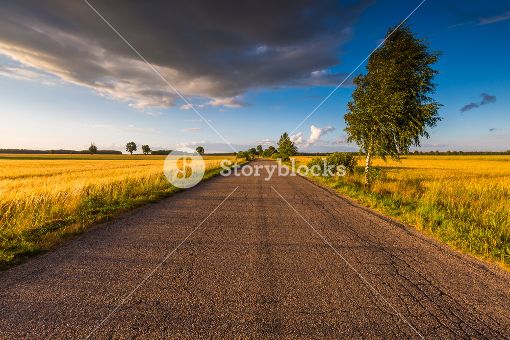 Rural summer landscape with scenic road and fields. Beautiful ...