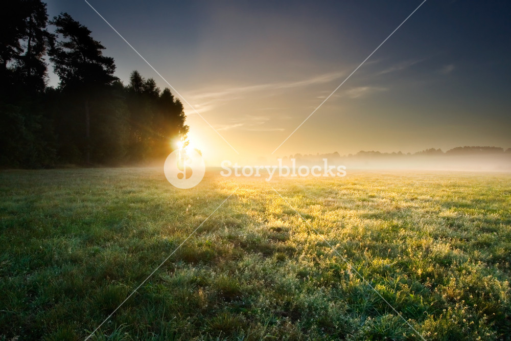 Misty sunrise over stunning Polish meadow Royalty-Free Stock Photo SBI ...