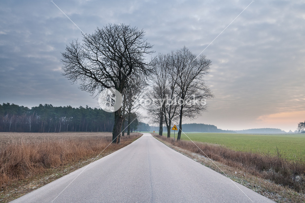 Landscape with rural asphalt road at sunset Royalty-Free Stock Photo ...
