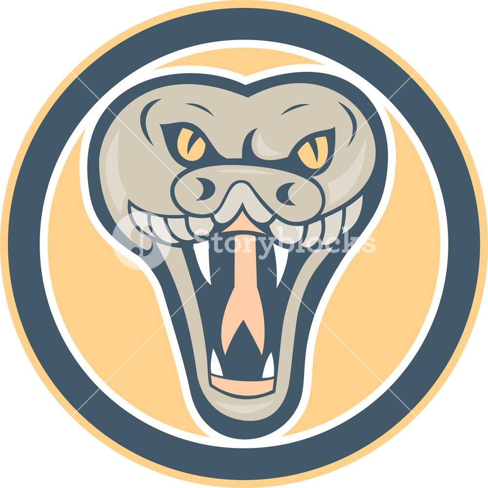 Rattle Snake Head Front Retro Royalty-Free Stock Vector SBI-300629543 ...