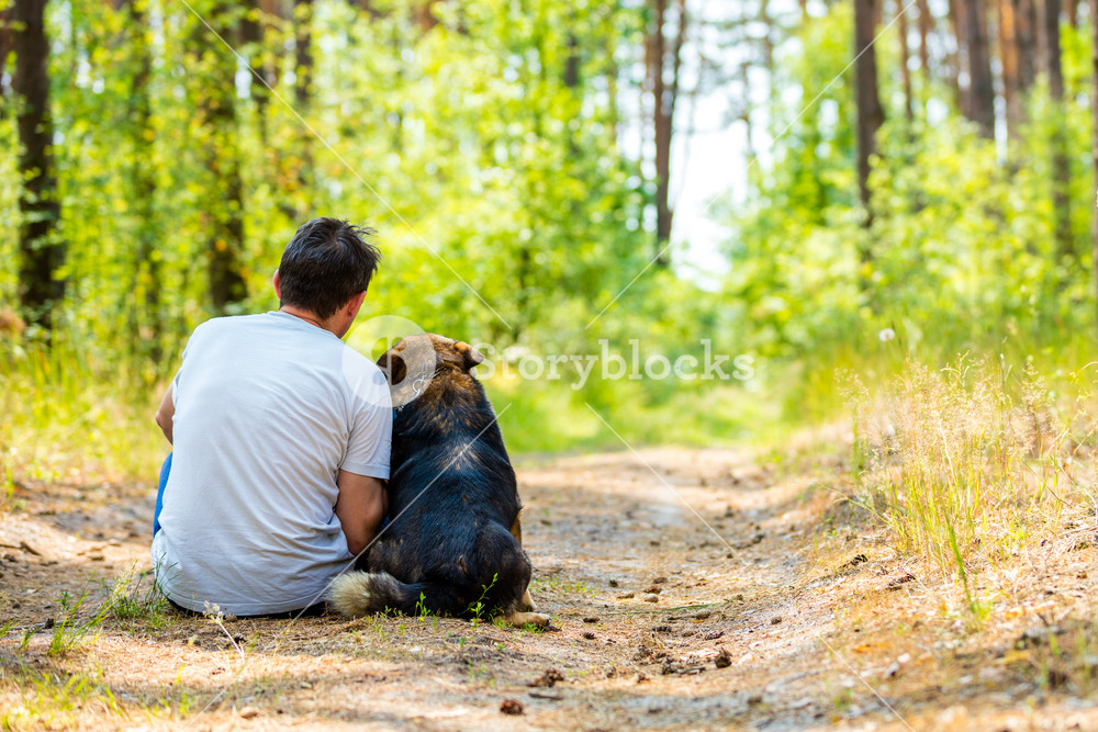 A man is sitting with a dog on the path in the forest Royalty-Free ...